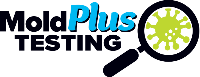 moldPlus Testing logo